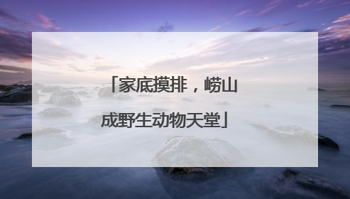 家底摸排，崂山成野生动物天堂