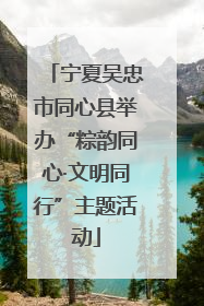 宁夏吴忠市同心县举办“粽韵同心·文明同行”主题活动