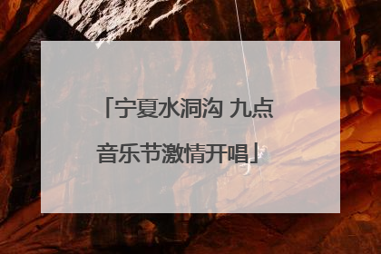 宁夏水洞沟 九点音乐节激情开唱