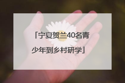 宁夏贺兰40名青少年到乡村研学