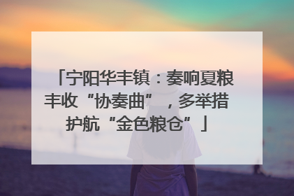 宁阳华丰镇：奏响夏粮丰收“协奏曲”，多举措护航“金色粮仓”