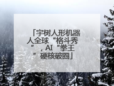 宇树人形机器人全球“格斗秀”，AI“拳王”硬核破圈