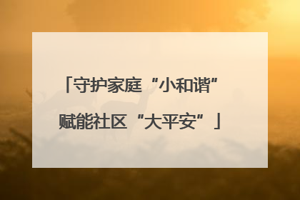 守护家庭“小和谐” 赋能社区“大平安”
