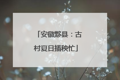 安徽黟县：古村夏日插秧忙