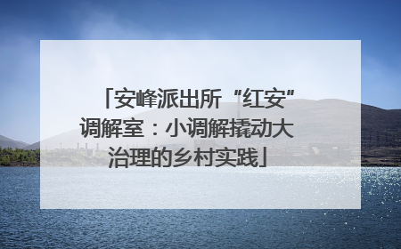 安峰派出所“红安”调解室：小调解撬动大治理的乡村实践