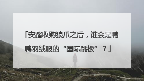 安踏收购狼爪之后，谁会是鸭鸭羽绒服的“国际跳板”？