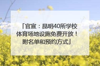 官宣：昆明40所学校体育场地设施免费开放！附名单和预约方式