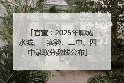 官宣：2025年聊城水城、一实验、二中、四中录取分数线公布