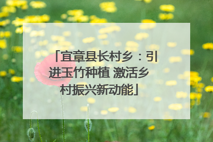 宜章县长村乡：引进玉竹种植 激活乡村振兴新动能