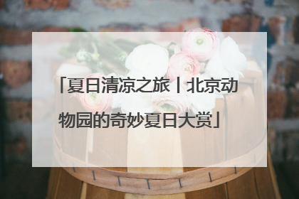 夏日清凉之旅丨北京动物园的奇妙夏日大赏