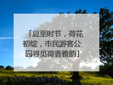 夏至时节，荷花初绽，市民游客公园寻觅荷香雅韵