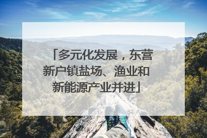 多元化发展，东营新户镇盐场、渔业和新能源产业并进