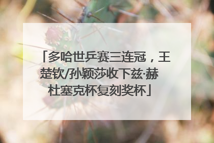 多哈世乒赛三连冠，王楚钦/孙颖莎收下兹·赫杜塞克杯复刻奖杯