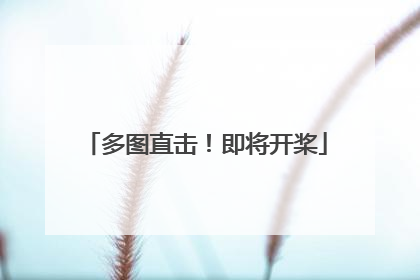 多图直击！即将开桨