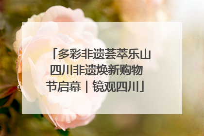 多彩非遗荟萃乐山 四川非遗焕新购物节启幕｜镜观四川