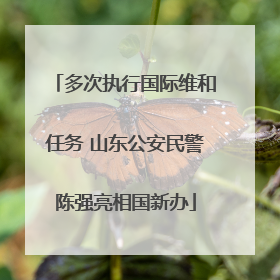多次执行国际维和任务 山东公安民警陈强亮相国新办