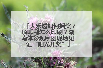 大乐透如何摇奖？顶呱刮怎么印刷？湖南体彩观摩团现场见证“阳光开奖”