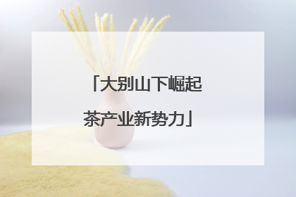 大别山下崛起茶产业新势力