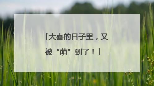 大喜的日子里，又被“萌”到了！