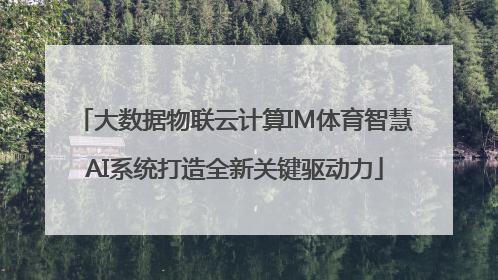 大数据物联云计算IM体育智慧AI系统打造全新关键驱动力