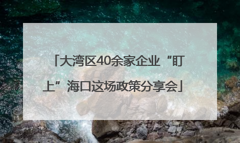 大湾区40余家企业“盯上”海口这场政策分享会