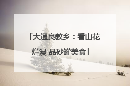 大通良教乡：看山花烂漫 品砂罐美食