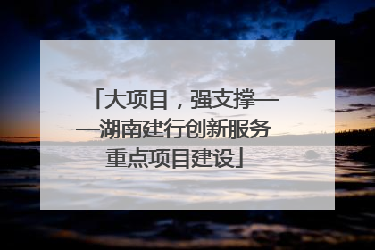 大项目，强支撑——湖南建行创新服务重点项目建设