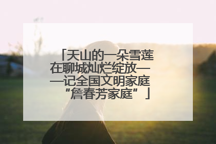 天山的一朵雪莲在聊城灿烂绽放——记全国文明家庭“詹春芳家庭”