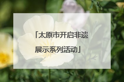 太原市开启非遗展示系列活动