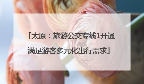 太原：旅游公交专线1开通 满足游客多元化出行需求