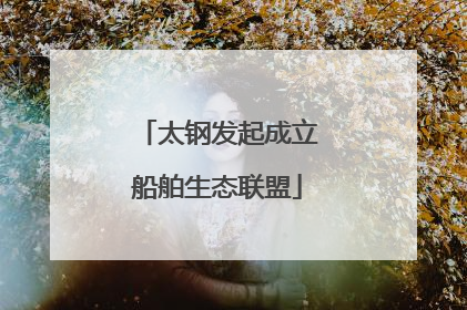太钢发起成立船舶生态联盟