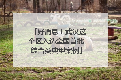 好消息！武汉这个区入选全国首批综合类典型案例