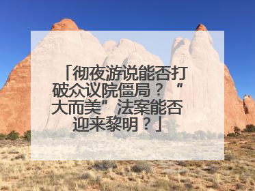 彻夜游说能否打破众议院僵局？“大而美”法案能否迎来黎明？