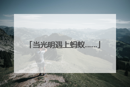 当光明遇上蚂蚁……