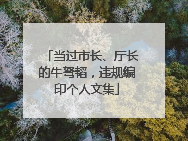 当过市长、厅长的牛弩韬，违规编印个人文集