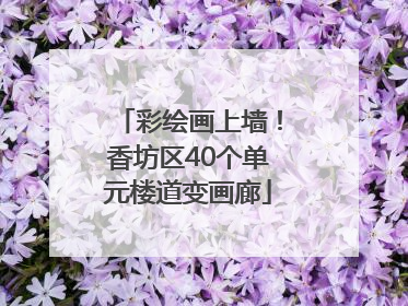 彩绘画上墙！香坊区40个单元楼道变画廊