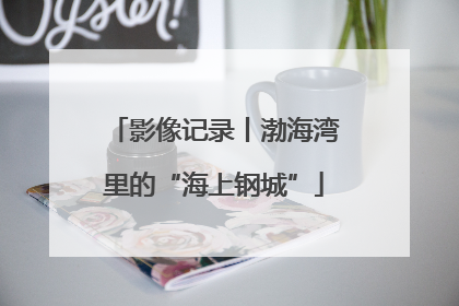 影像记录丨渤海湾里的“海上钢城”