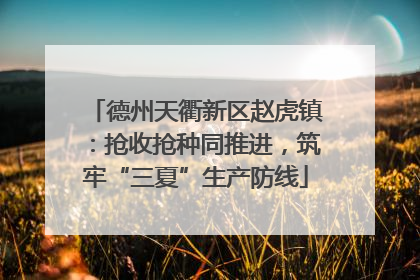 德州天衢新区赵虎镇：抢收抢种同推进，筑牢“三夏”生产防线