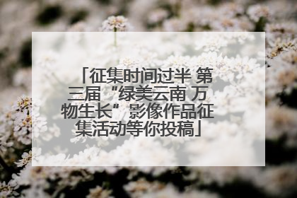 征集时间过半 第三届“绿美云南 万物生长”影像作品征集活动等你投稿