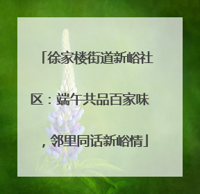 徐家楼街道新峪社区：端午共品百家味，邻里同话新峪情
