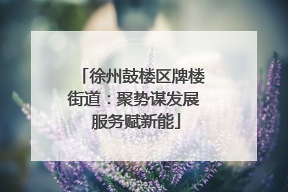 徐州鼓楼区牌楼街道：聚势谋发展 服务赋新能