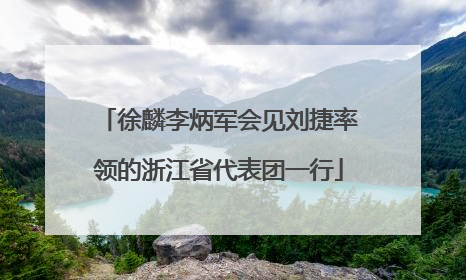 徐麟李炳军会见刘捷率领的浙江省代表团一行