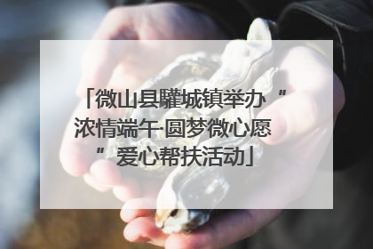 微山县驩城镇举办“浓情端午·圆梦微心愿”爱心帮扶活动