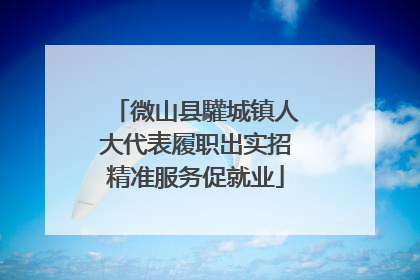 微山县驩城镇人大代表履职出实招精准服务促就业