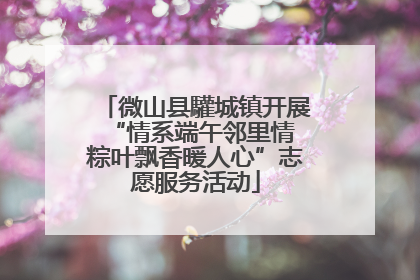 微山县驩城镇开展“情系端午邻里情 粽叶飘香暖人心”志愿服务活动