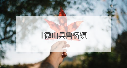 微山县鲁桥镇“微湖女性成长课堂”开讲