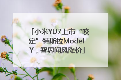 小米YU7上市“咬定”特斯拉Model Y，智界闻风降价