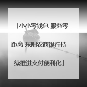 小小零钱包 服务零距离 东阳农商银行持续推进支付便利化