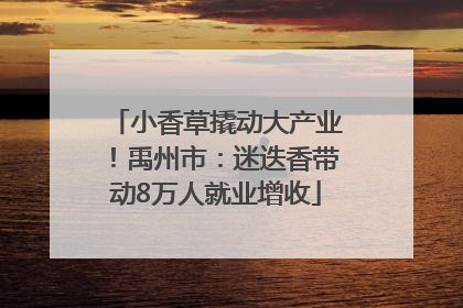 小香草撬动大产业！禹州市：迷迭香带动8万人就业增收