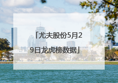 尤夫股份5月29日龙虎榜数据